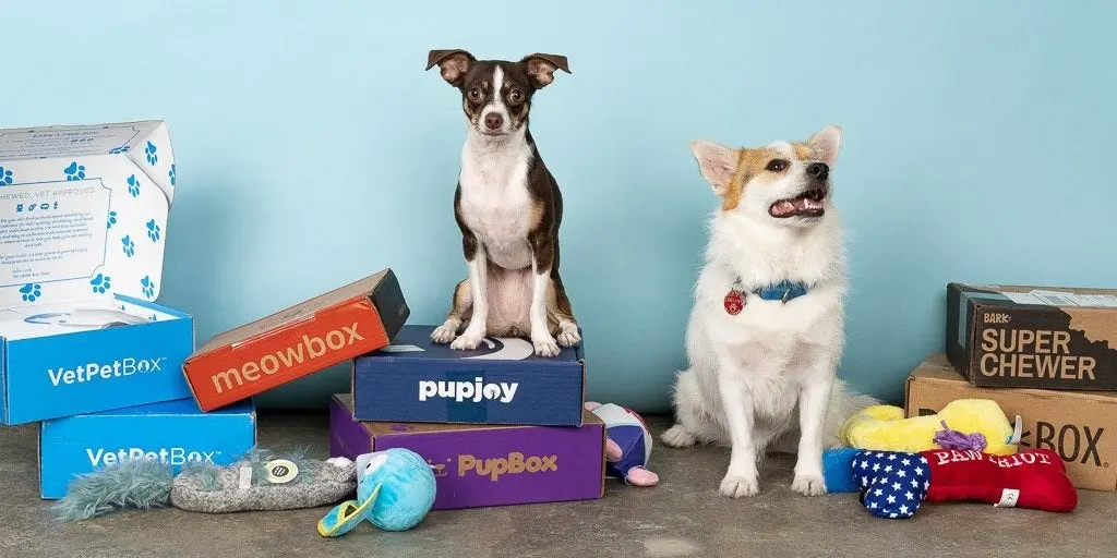 The Ultimate Guide to Pet Subscription Boxes: Rigorous Testing Reveals the Best Services for Cats and Dogs