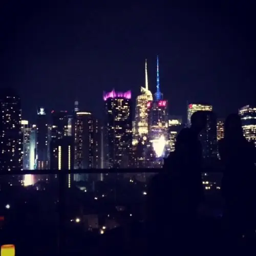 The Urban Canine Retreat: An Investigative Review of Manhattan’s Ink48 Hotel