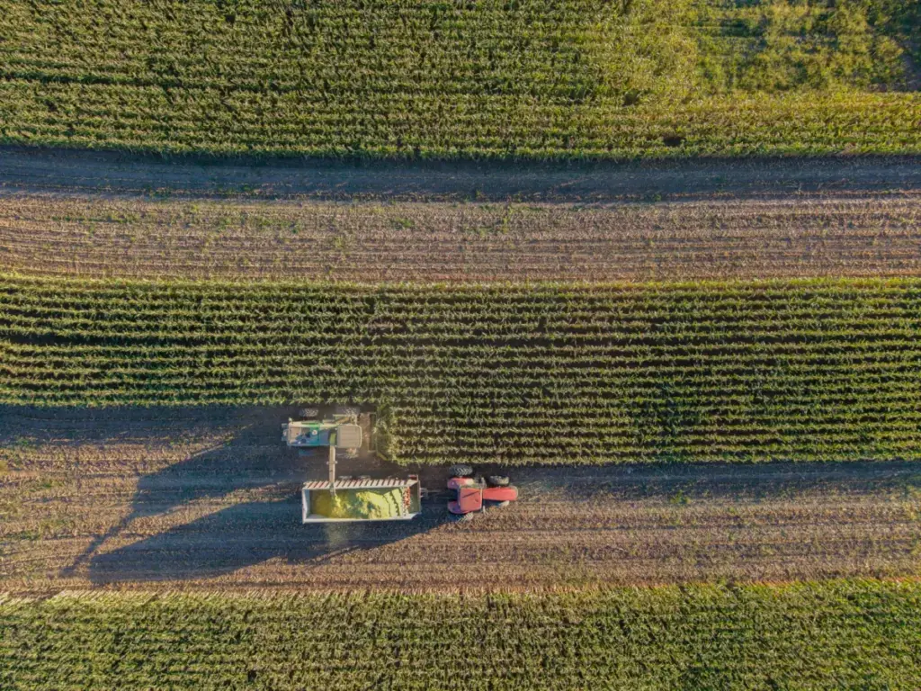 Unlocking the Blueprint: Corteva’s Corn Pipeline Exposes the Strategic Logic Behind the Vylor Spin-Off