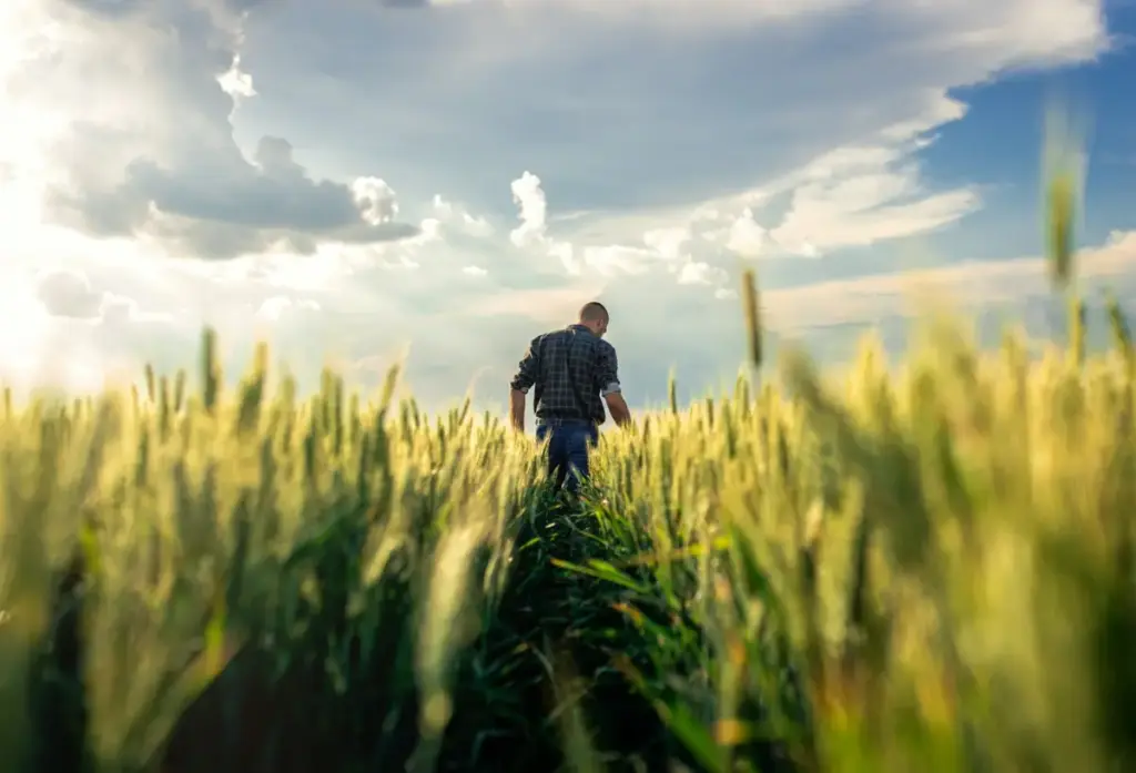 Unlocking the Holy Grail of Agronomy: Vylor’s Xpedite Platform and the Dawn of Commercial Hybrid Wheat