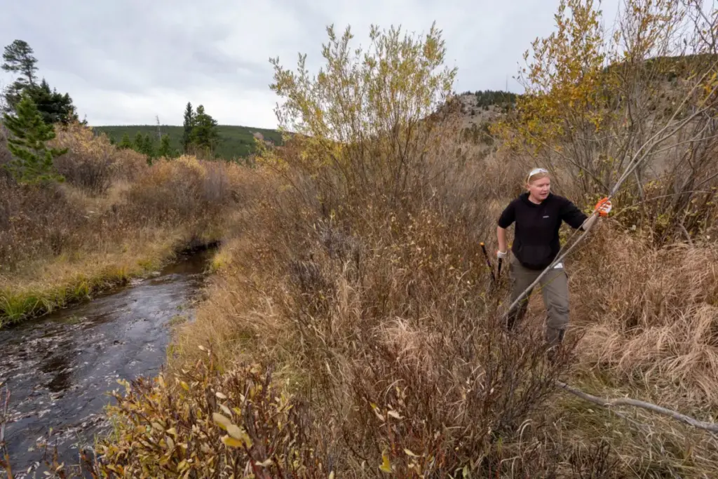 Unlocking Watershed Resilience: How Audubon and The Nature Conservancy Are Helping Local Groups Tap Into Millions in Federal WaterSMART Funding