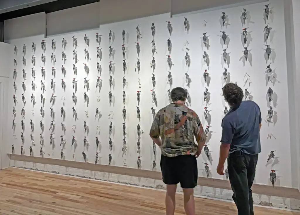 Wings, Waves, and Warnings: Pensacola Art Museum’s STEAM 2026 Exhibit Challenges Visitors to Rewrite the Fate of Global Bird Populations