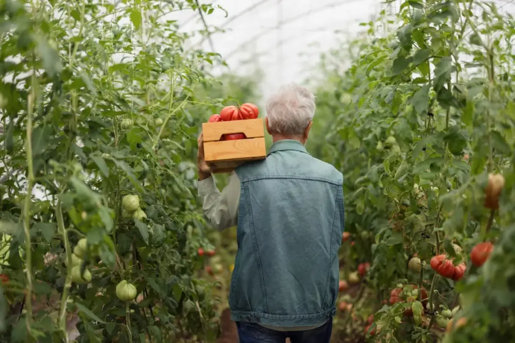 Cultivating the Future: How Evolving Regulation and Tech Partnerships are Unlocking the Next Era of Gene-Edited Crops