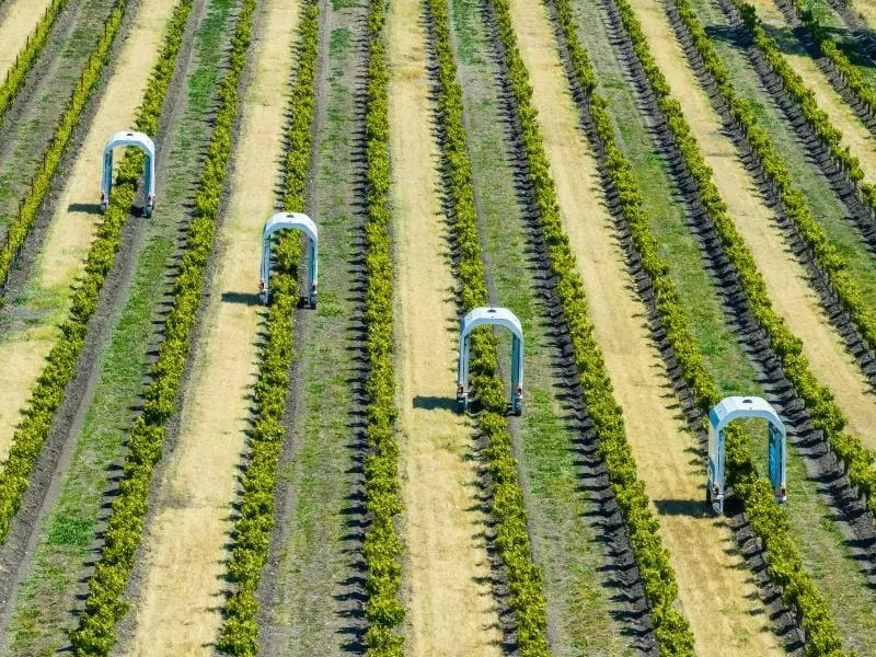 Cultivating the Future: Inside TIME’s 2026 Best Inventions in Agriculture