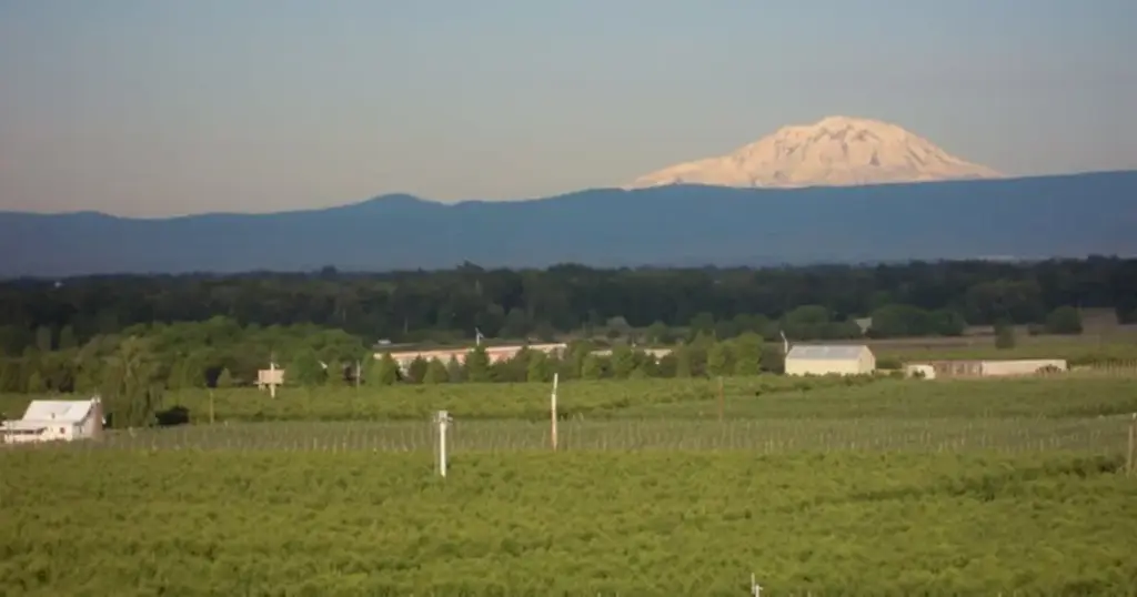 Cultivating the Future: Reservoir Farms Expands Agtech Incubator Model to Washington State to Tackle Complex Specialty Crops