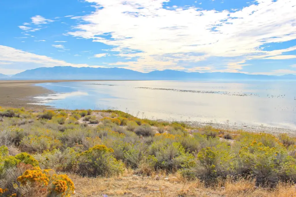 Restoring the Inland Sea: How Audubon’s Landmark Assessment is Reshaping Great Salt Lake Conservation and Water Management