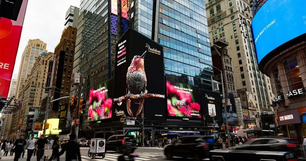 Taking Flight for the Future: How Birds Grounded the Conversations at Climate Week NYC 2026