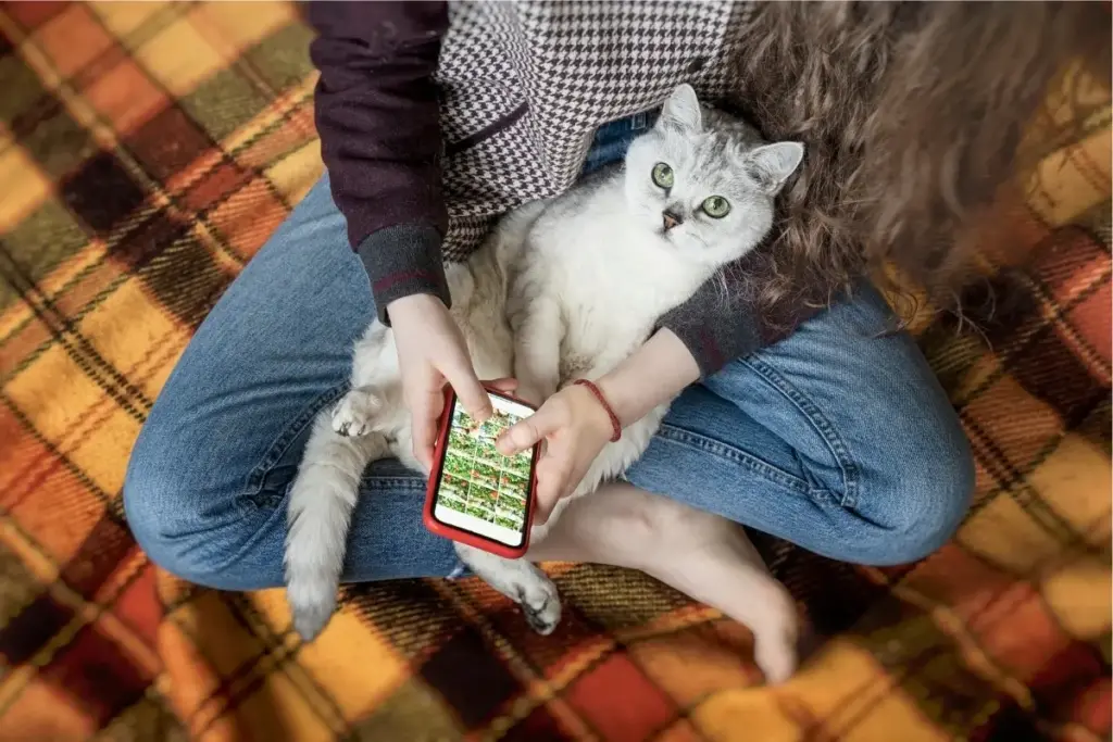 The Digital Divide: Why Your Smartphone is Your Cat’s Greatest Rival