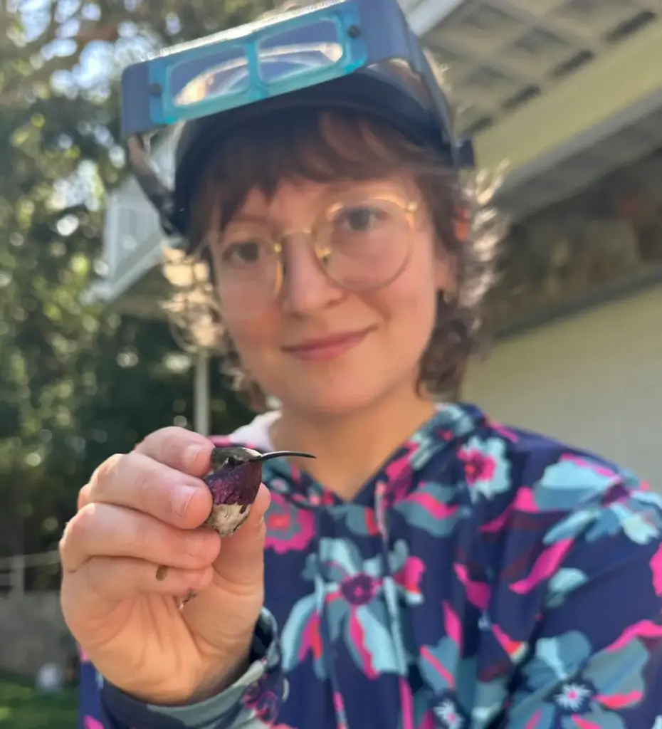 Wings Across the Coast: Inside the Life, Science, and Advocacy of a Coastal Bird Technician